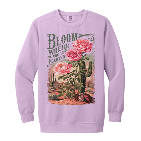 Bloom Where You Are Planted Sweatshirt – Comfort Colors | Cactus Graphic Crewneck | Inspirational Positive Apparel